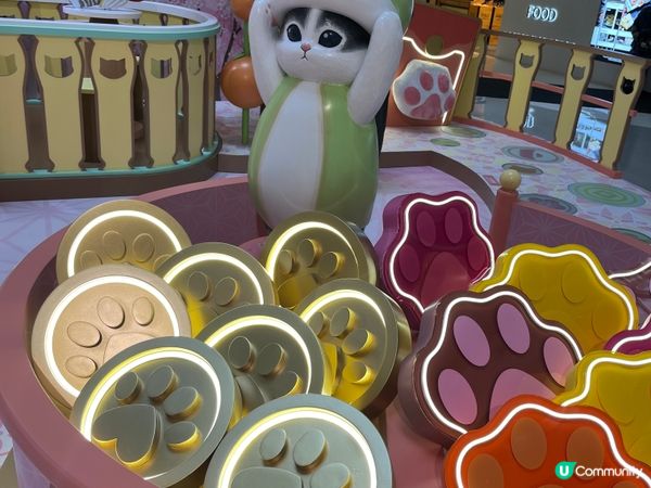 ～貓迷必去打卡熱點～