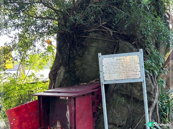 到快將清拆的茶果嶺寮屋💕看看鐵皮屋。懷舊冰室。天后宮。求子石