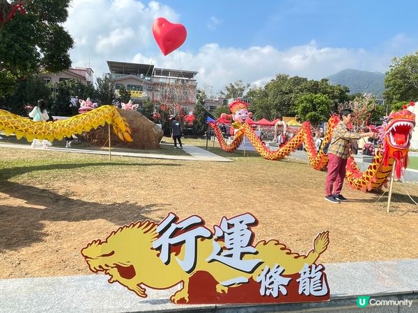 新年去林村、巧遇Chubby Hearts