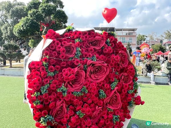 新年去林村、巧遇Chubby Hearts