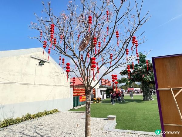 新年去林村、巧遇Chubby Hearts