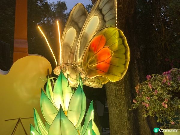 蓮花山營地露營