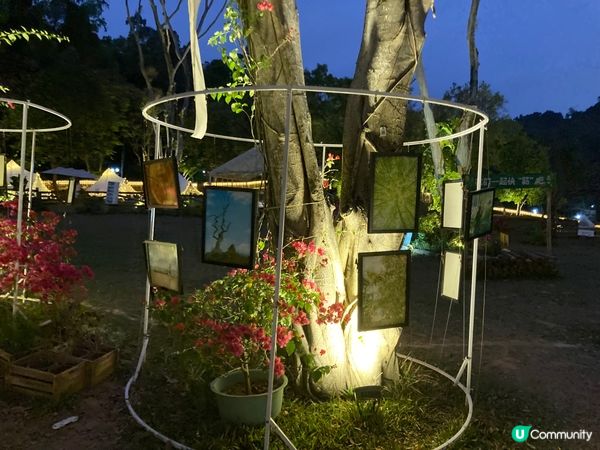 蓮花山營地露營