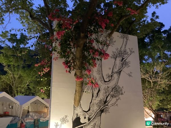 蓮花山營地露營