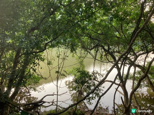 遊走一下粉嶺的日子