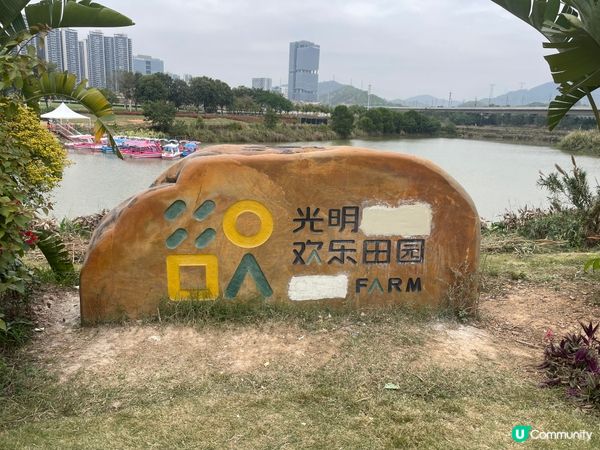 令人心曠神怡的油菜花田