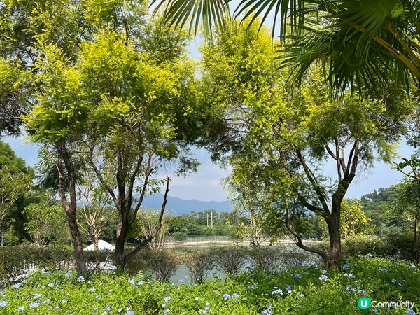難得渡假風餐廳