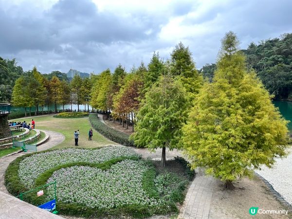 寧靜遼闊的日月潭