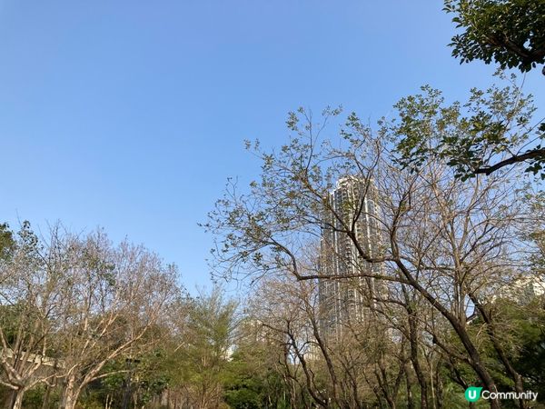 南昌公園的一個早上