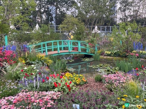 香港花卉展覽2024