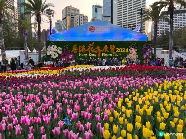 維園花展2024