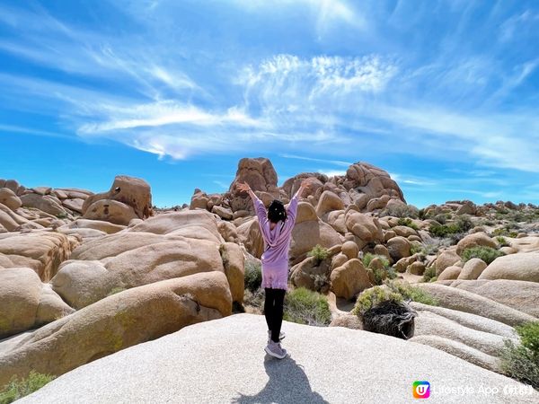 【美國-California】南加州美國國家公園│約書亞樹國家公園│Joshua Tree National Park