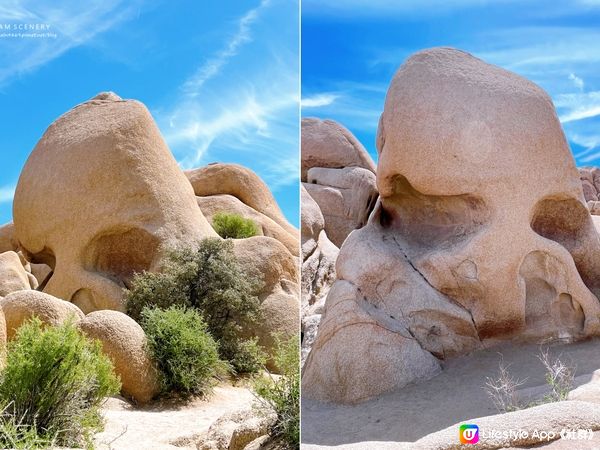 【美國-California】南加州美國國家公園│約書亞樹國家公園│Joshua Tree National Park