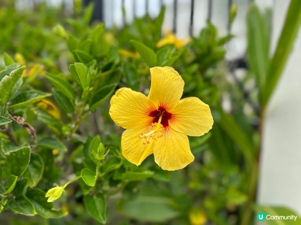 奔向沖繩的夏天🏝️