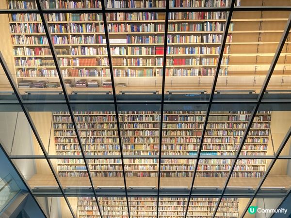 拉脫維亞可以觀景既特色造型圖書館