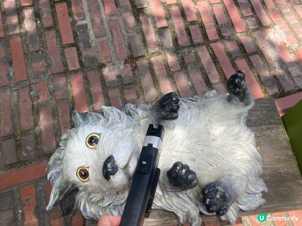 宜蘭幾米星空車站的夜與日