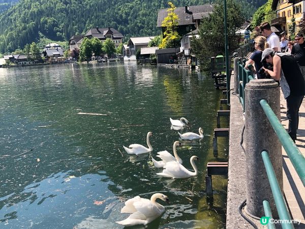 【奧地利-Hallstatt】歐洲最美小鎮哈爾施塔特 │哈修塔特 Hallstatt
