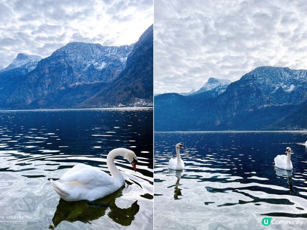 【奧地利-Hallstatt】歐洲最美小鎮哈爾施塔特 │哈修塔特 Hallstatt