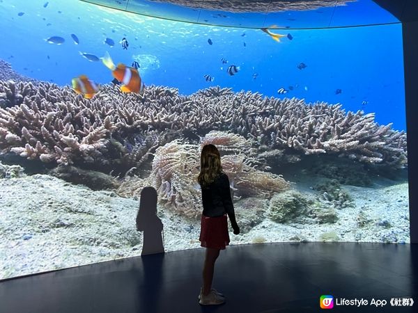 ✨最新基隆景點 ｢潮境智能海洋館｣ ✨