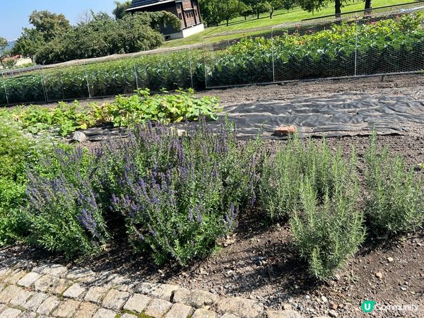 布拉格皇家花園