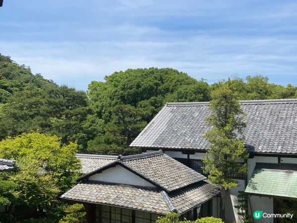 剛剛5月去了日本四國高松，栗林公園空氣清新，被周圍獨有松樹包...