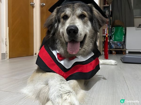 雖然我大大舊 但我內心都係小朋友～我1歲炸！唔好再成日問我係...