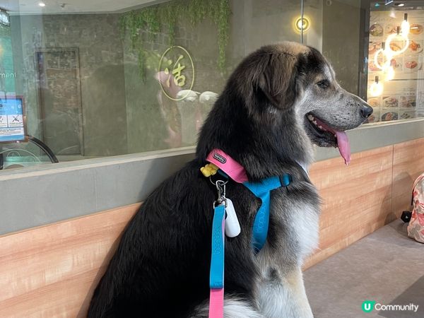 雖然我大大舊 但我內心都係小朋友～我1歲炸！唔好再成日問我係...