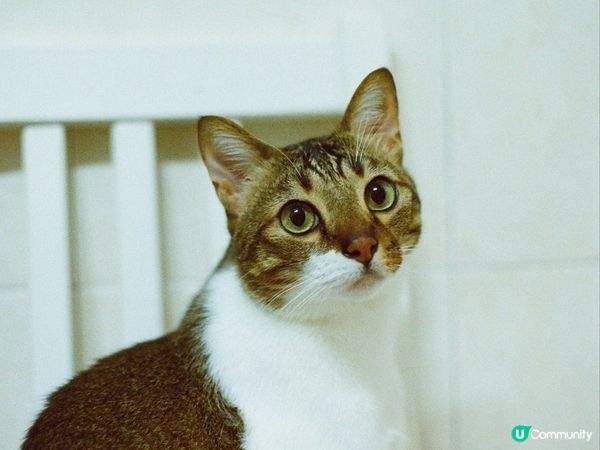 屋企原則一：自己的事自己做。佢地想spa，緊係自己努力賺返嚟...