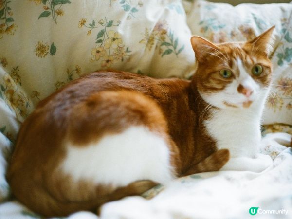 屋企原則一：自己的事自己做。佢地想spa，緊係自己努力賺返嚟...