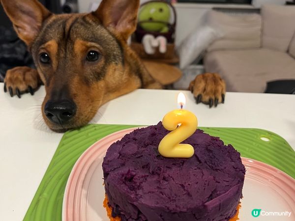 花生米兩歲仔已經識聽人哋話佢及讚佢，尤其是整爛啲嘢嗰陣時佢又...