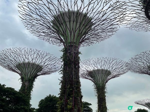 去新加坡不可不去，尤其係marina bay 既infini...