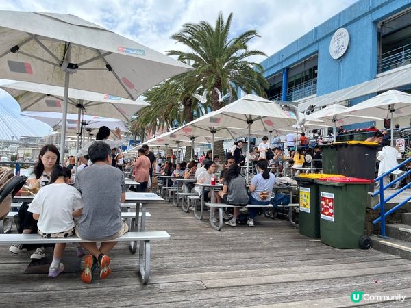 為大家介紹的旅遊景點就是世界有名的澳洲悉尼漁人碼頭，