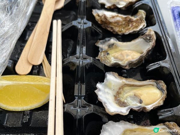 為大家介紹的旅遊景點就是世界有名的澳洲悉尼漁人碼頭，