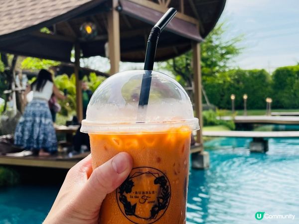 Bubble in the forest Cafe 是泰國曼...