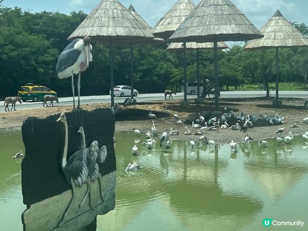 泰國的日與夜，繁華的鬧市中有建於1842年的鄭王廟與泰國血脈...