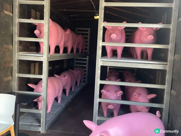 位於深圳草埔站的鐵路博物館，令大家更深入認識綠皮火車，貨運動...