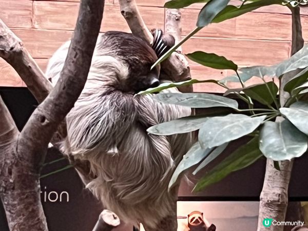 夏天最適合去海邊、沙灘散步，觀塘海濱、貝澳泳灘都係一個好選擇...