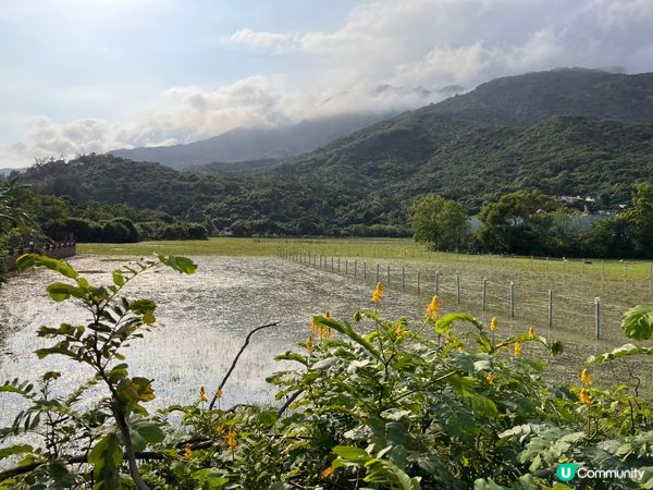 夏天最適合去海邊、沙灘散步，觀塘海濱、貝澳泳灘都係一個好選擇...