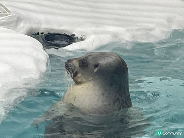 日本之旅。大阪的夜景真的很美，還有環球影城哈利波特的城堡，還...