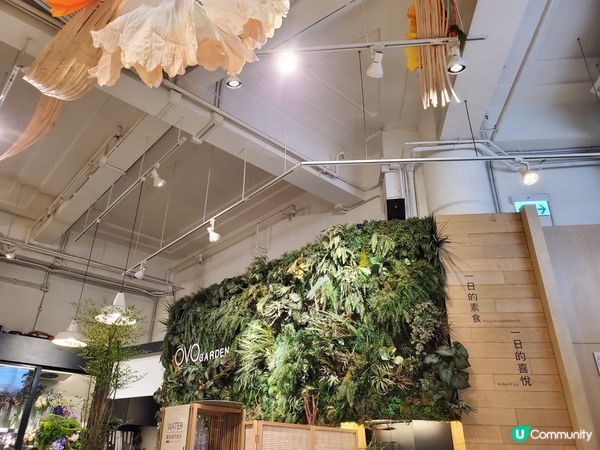 新派素食餐廳,環境優美,食物賣相精緻有特色,打卡一流