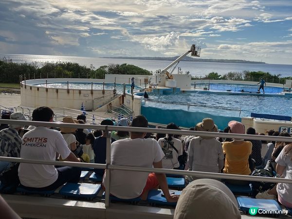?繩之旅，美麗海水族館、?繩世界、玉泉洞、美國村