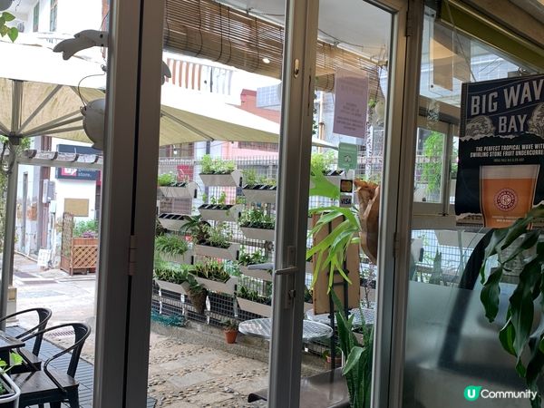 慢活大澳 放鬆心情