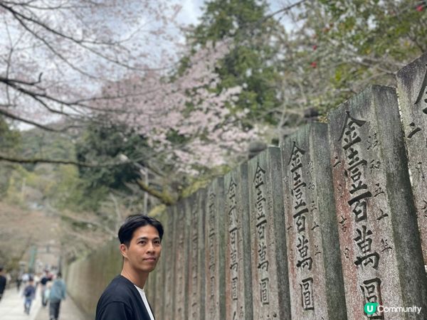 2024 賞櫻10日9夜 四國自駕遊 Day 1-2