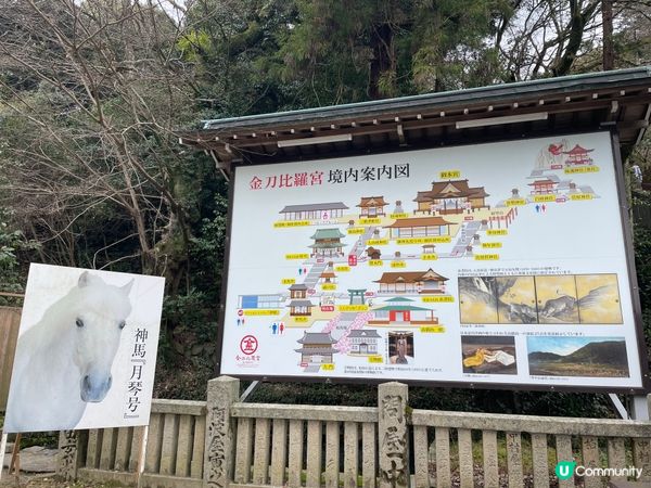 2024 賞櫻10日9夜 四國自駕遊 Day 1-2