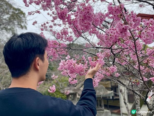 2024 賞櫻10日9夜 四國自駕遊 Day 1-2