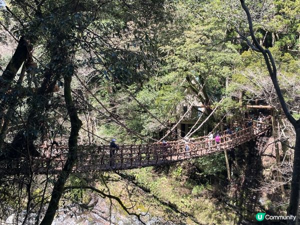 2024賞櫻10日9夜 四國自駕遊 Day 3