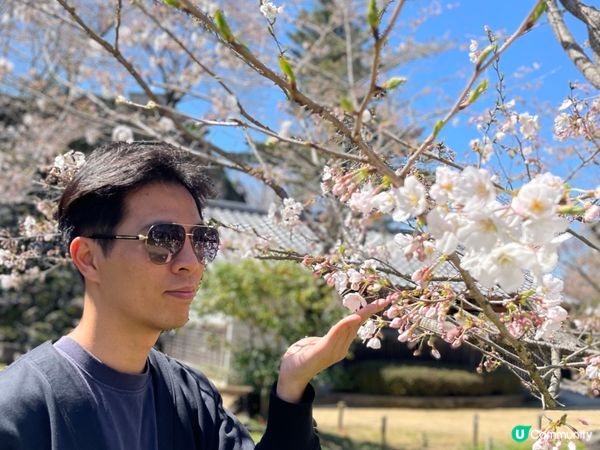 2024賞櫻10日9夜 四國自駕遊 Day 3