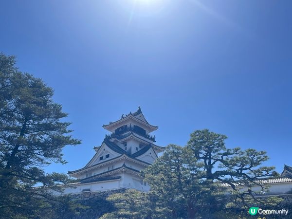 2024賞櫻10日9夜 四國自駕遊 Day 3