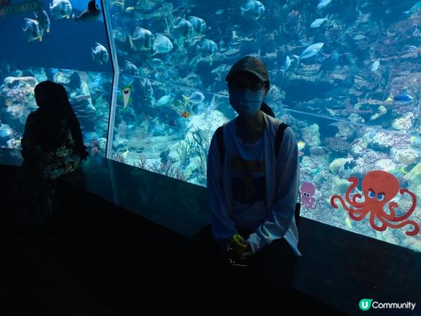 炎炎夏日，祕得一個遊玩聖地，體驗非一般的感覺，海洋世界等你來...