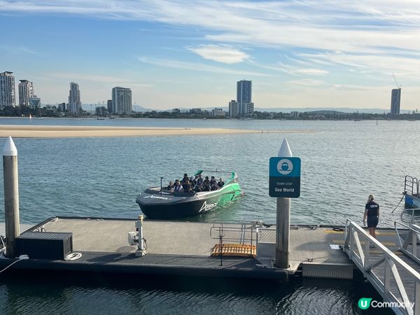 澳洲黃金海岸的夏天，到了公園及動物園，享受夏日與陽光